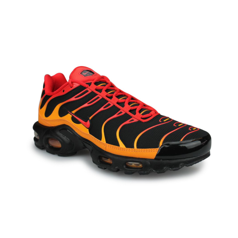 Salida espía desinfectante Nike Air Max Plus TN Noir - Street Shoes Addict