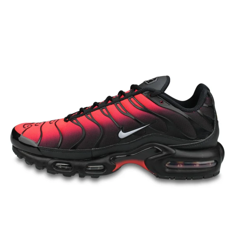 Nike Air Max Plus TN Noir