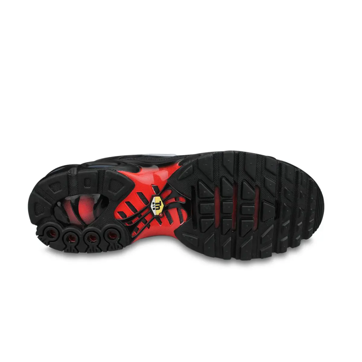 Nike Air Max Plus TN Noir