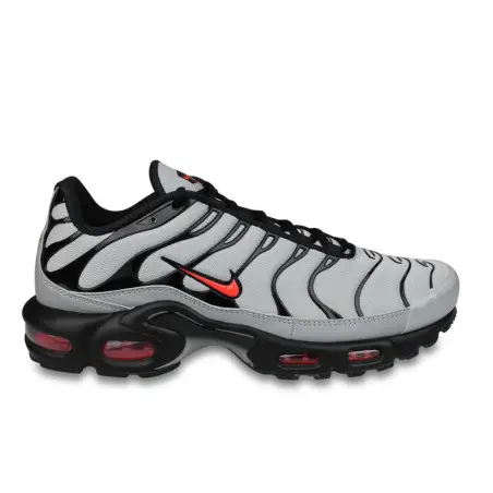 Nike Air Max Plus TN Gris