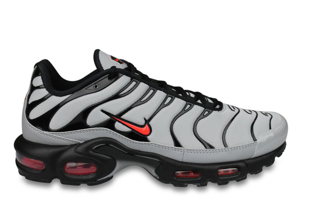 Nike Air Max Plus TN Gris