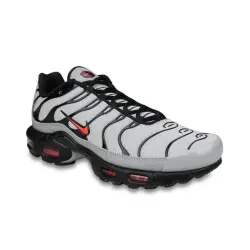 Nike Air Max Plus TN Gris