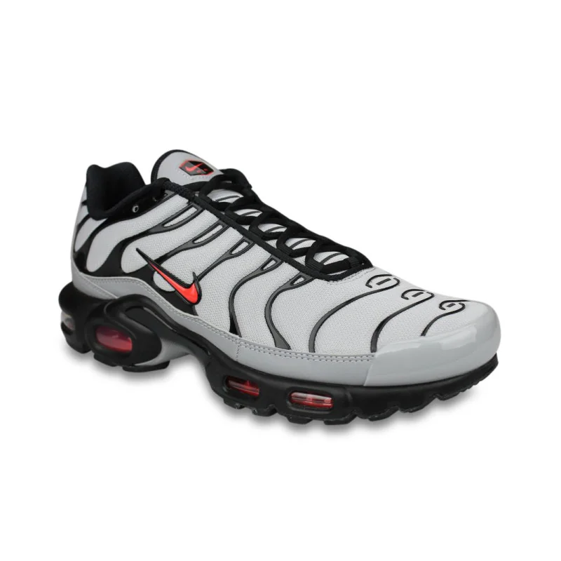 Nike Air Max Plus TN Gris