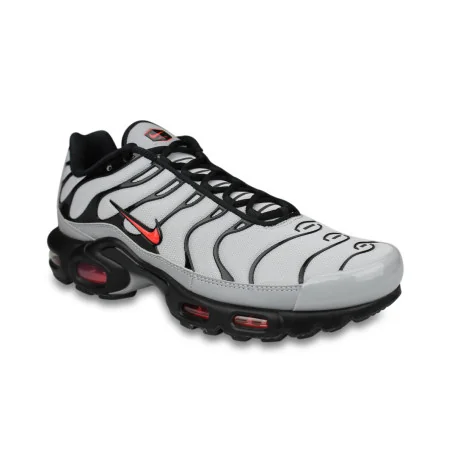 Nike Air Max Plus TN Gris