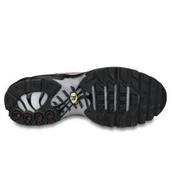 Nike Air Max Plus TN Gris