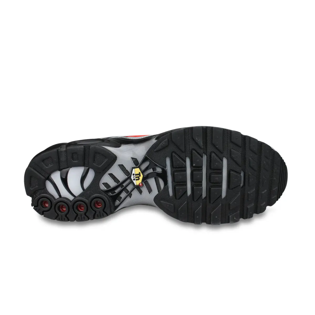 Nike Air Max Plus TN Gris