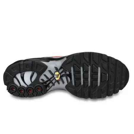 Nike Air Max Plus TN Gris