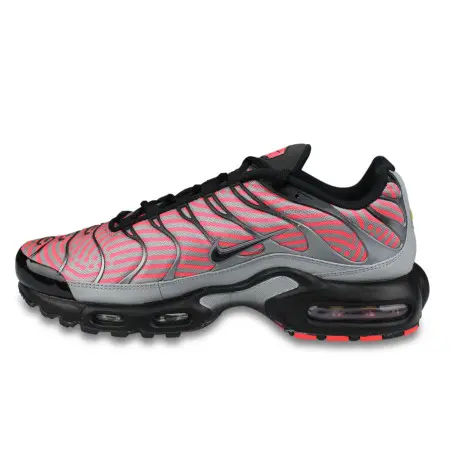 Nike Air Max Plus TN Gris