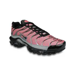 Nike Air Max Plus TN Gris