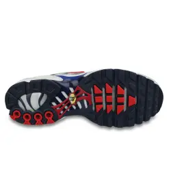 Nike Air Max Plus TN Euro Tour 2020 Blanc