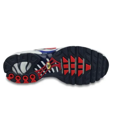 Nike Air Max Plus TN Euro Tour 2020 Blanc