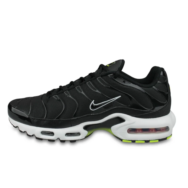 Nike Air Max Plus Noir