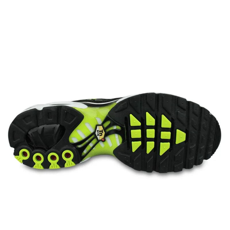 Nike Air Max Plus Noir