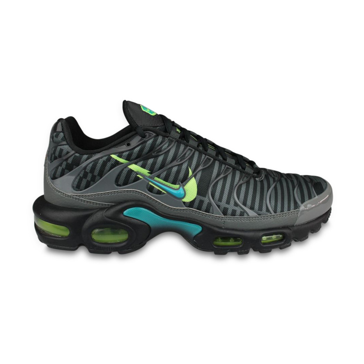 Nike Air Max Plus Champions League Gris