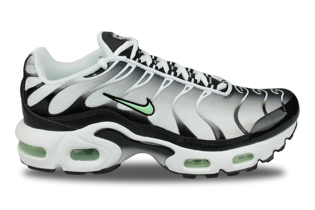 Nike Air Max Plus TN Junior Blanc