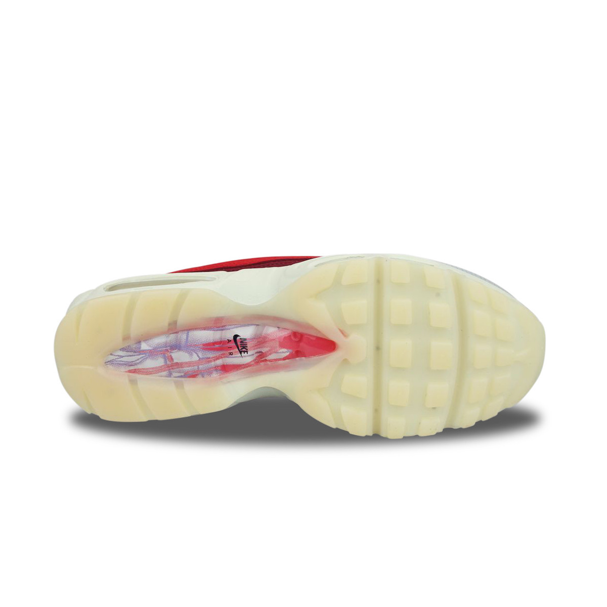 Nike Air Max 95 QS Anatomy of Air Rouge