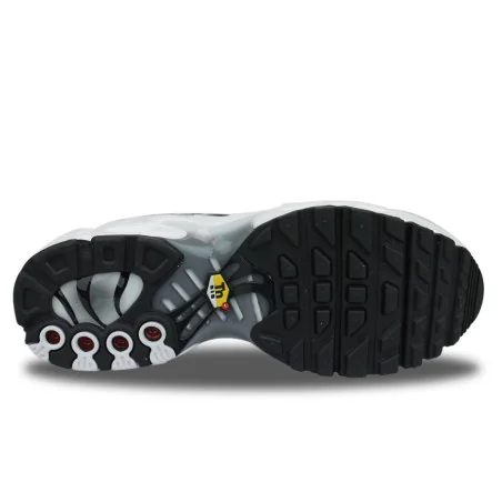 Nike Air Max Plus TN Junior Blanc