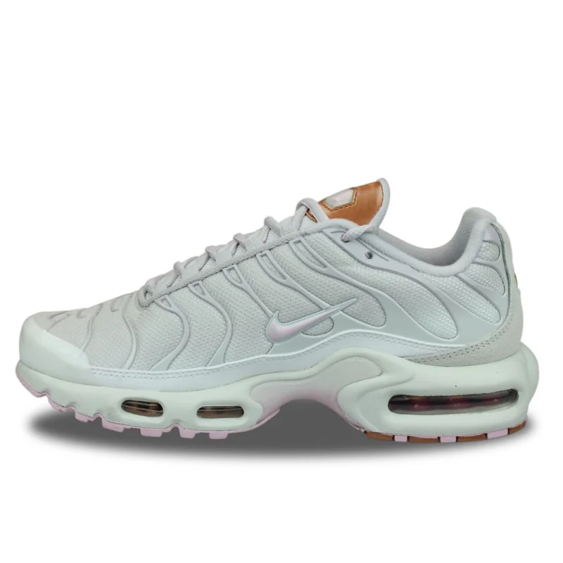 WMNS Nike Air Max Plus TN Gris