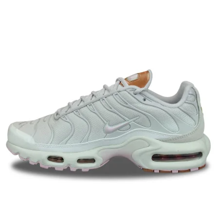 WMNS Nike Air Max Plus TN Gris