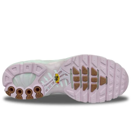 WMNS Nike Air Max Plus TN Gris