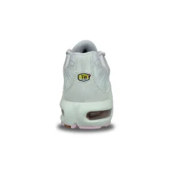 WMNS Nike Air Max Plus TN Gris