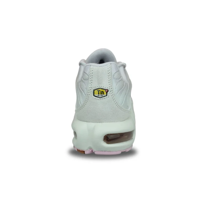 WMNS Nike Air Max Plus TN Gris