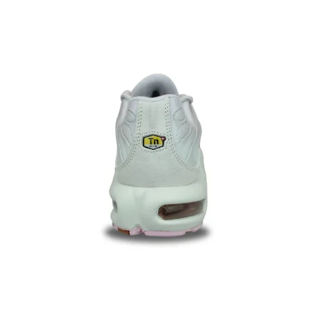 WMNS Nike Air Max Plus TN Gris