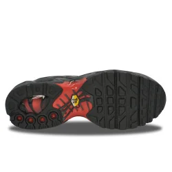 Nike Air Max Plus TN Black Crimson