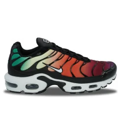 Nike Air Max Plus TN Rainbow