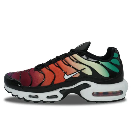 Nike Air Max Plus TN Rainbow