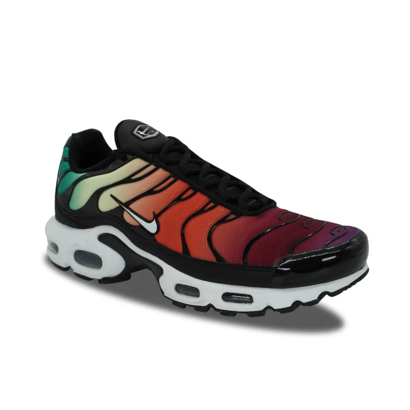 Nike Air Max Plus TN Rainbow