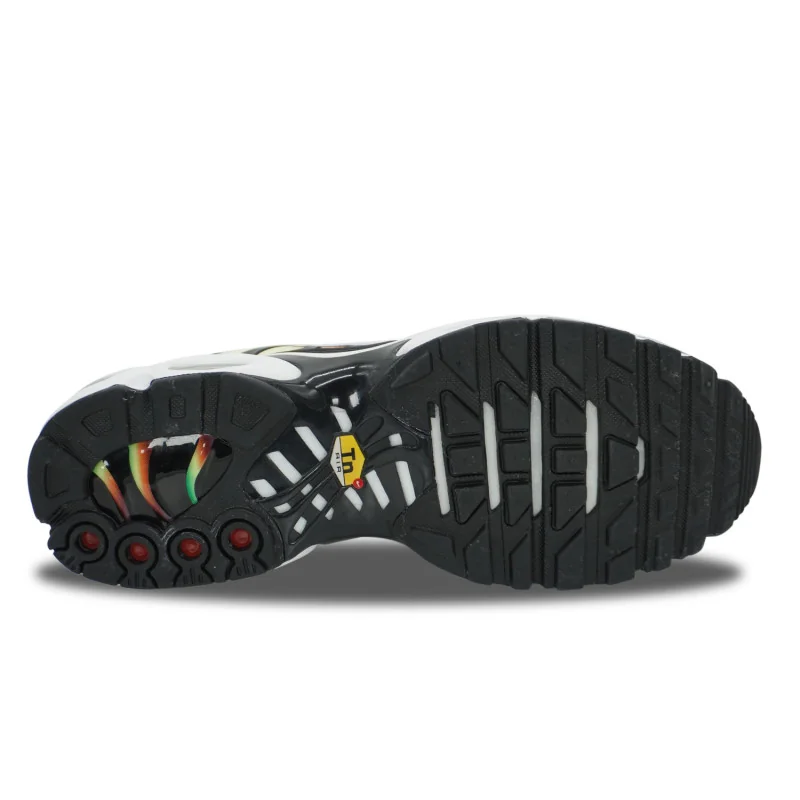 Nike Air Max Plus TN Rainbow