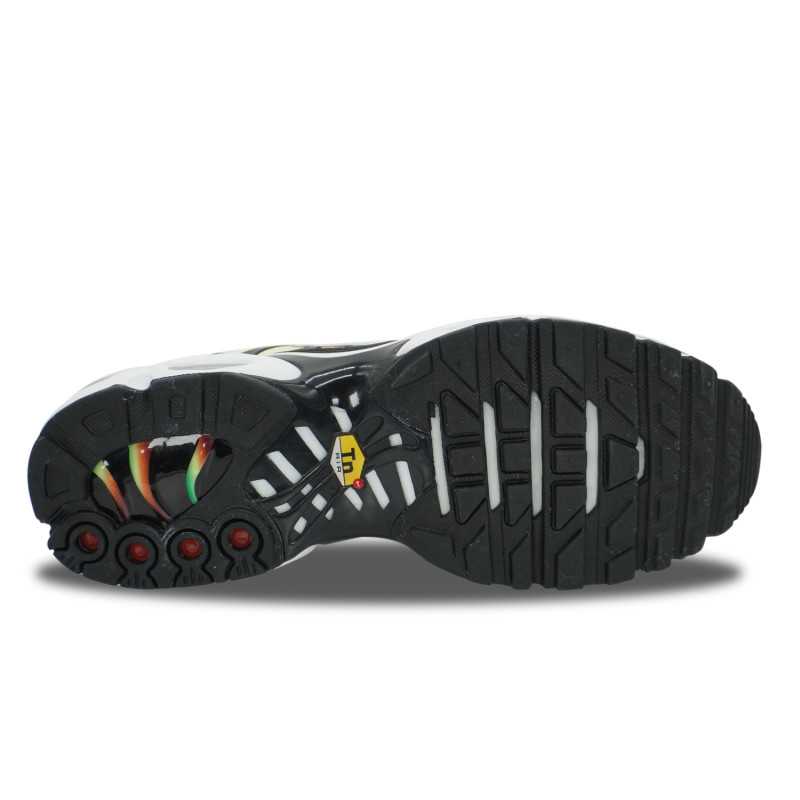 Nike Air Max Plus TN Rainbow