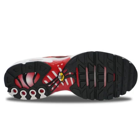 Nike Air Max Plus TN Gym Red