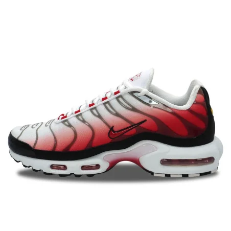 Nike Air Max Plus TN Gym Red