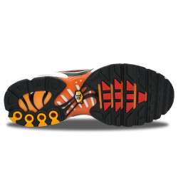 Nike Air Max Plus TN Sunset