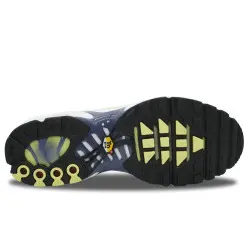 Nike Air Max Plus TN Wave Grid