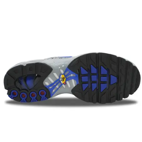 Nike Air Max Plus TN Wolf Grey Racer Blue | IH4459-025