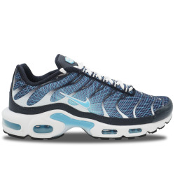Nike Air Max Plus TN Dark Obsidian | IH4460-400