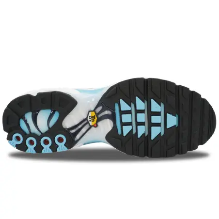 Nike Air Max Plus Dark Obsidian