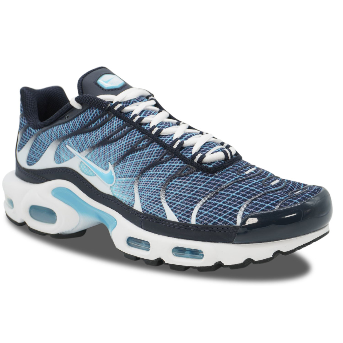 Nike Air Max Plus TN Dark Obsidian | IH4460-400
