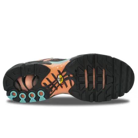 Nike Air Max Plus TN South Beach | DM0032-022