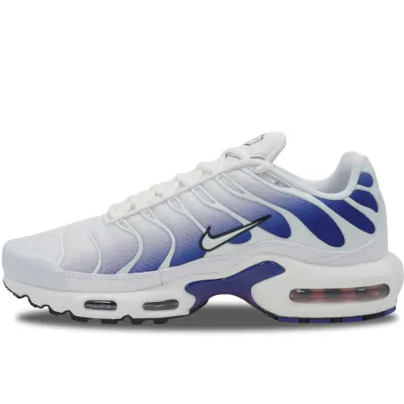 Nike Air Max Plus TN Wild Grape | DM0032-105