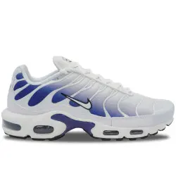 Nike Air Max Plus TN Wild Grape | DM0032-105