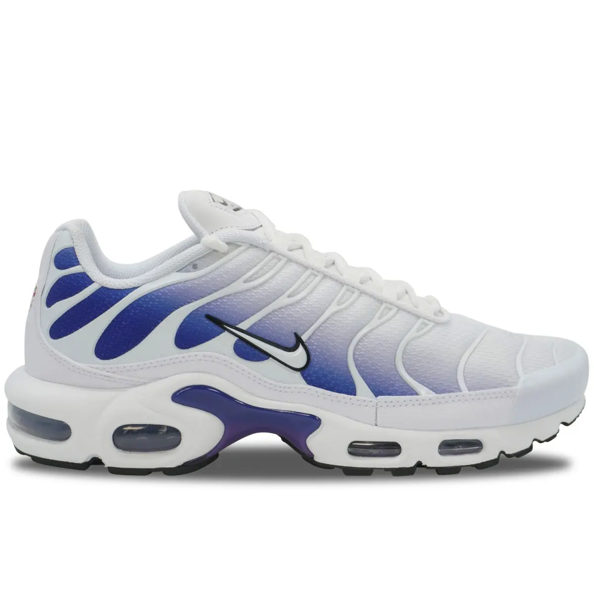 Nike Air Max Plus TN Wild Grape | DM0032-105