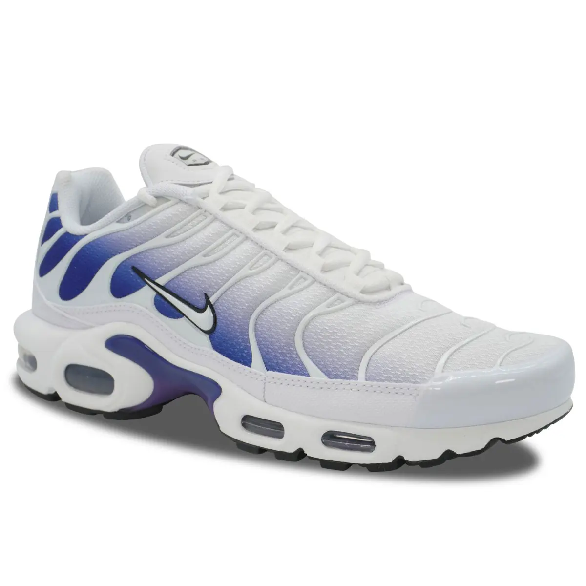 Nike Air Max Plus TN Wild Grape | DM0032-105