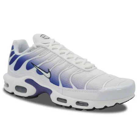 Nike Air Max Plus TN Wild Grape | DM0032-105