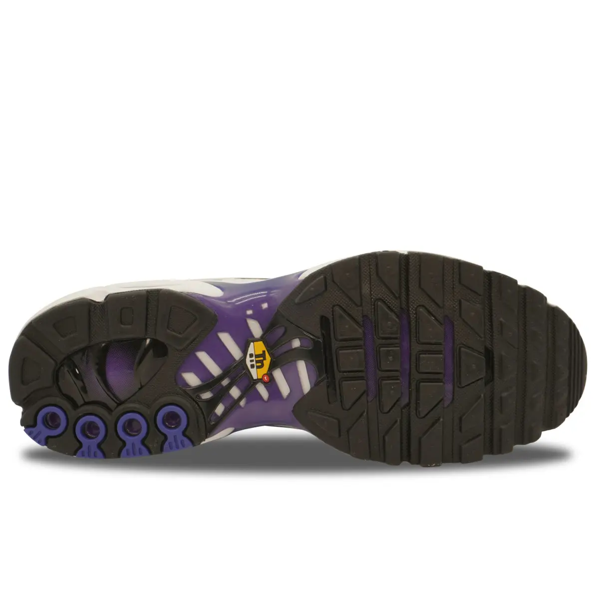 Nike Air Max Plus TN Wild Grape | DM0032-105
