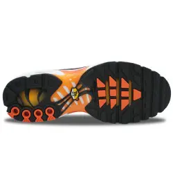 Nike Air Max Plus TN Syracuse | IQ0286-410