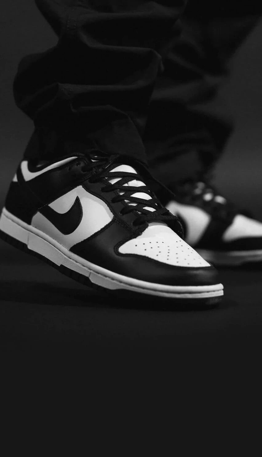 Dunk Low Panda